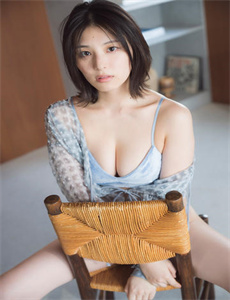 《愤怒的小鸟之猪猪传第3季》