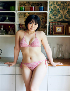《日本马桶圈》