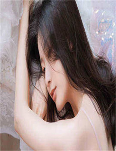《鲁菜视频》