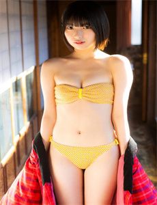 《噬血狂袭第四季》
