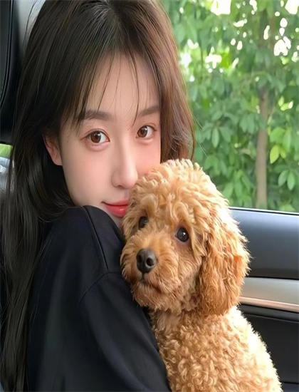 引君入梦观看攻略：如何把握情感线索与心理变化 提高审美能力